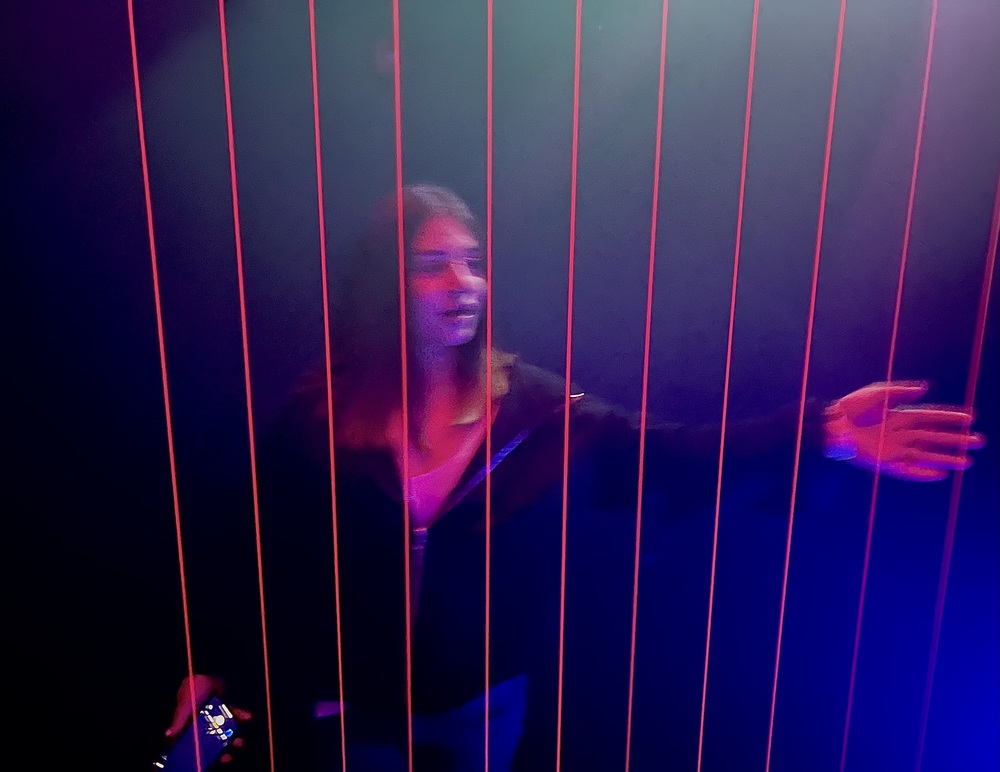 Meow Wolf Laser Harp