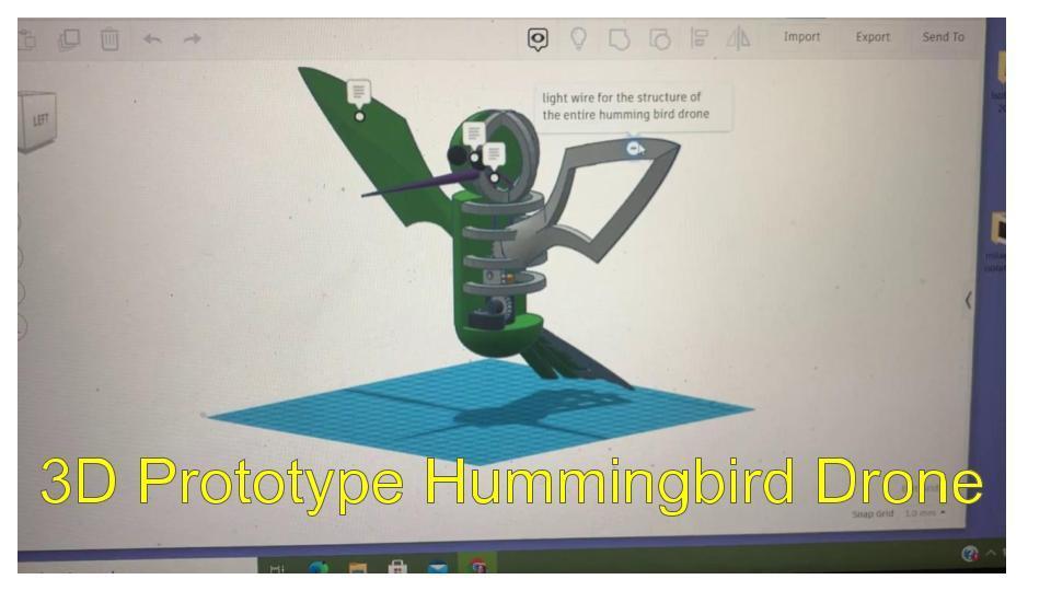 A 3d prototype for a robotic Hummingbird
