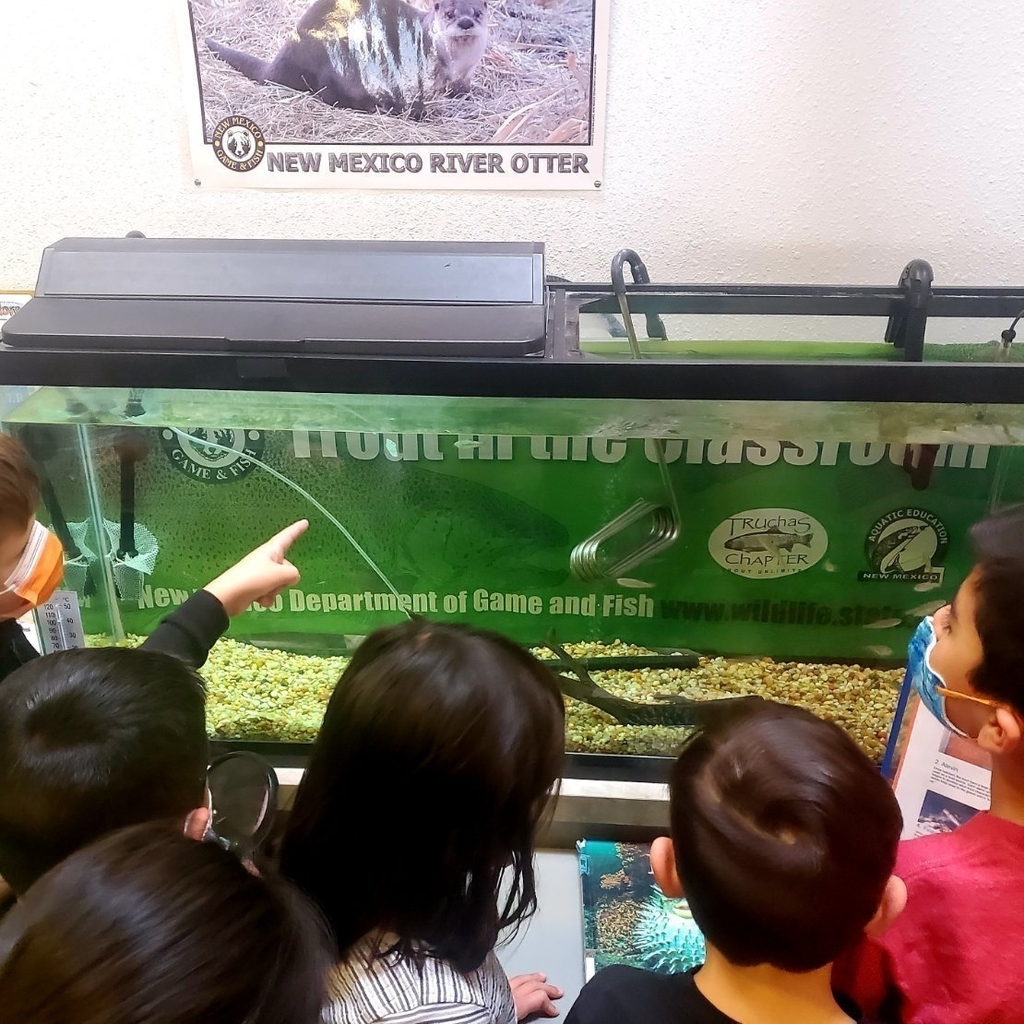 Students looking at trout tank.