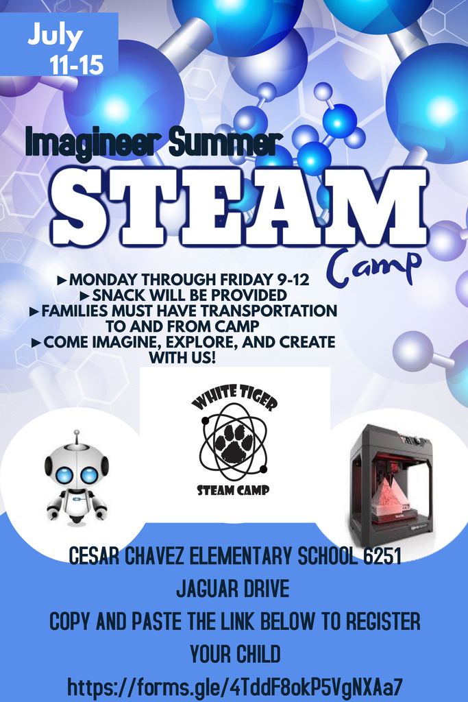 STEAM Summer Camp flyer