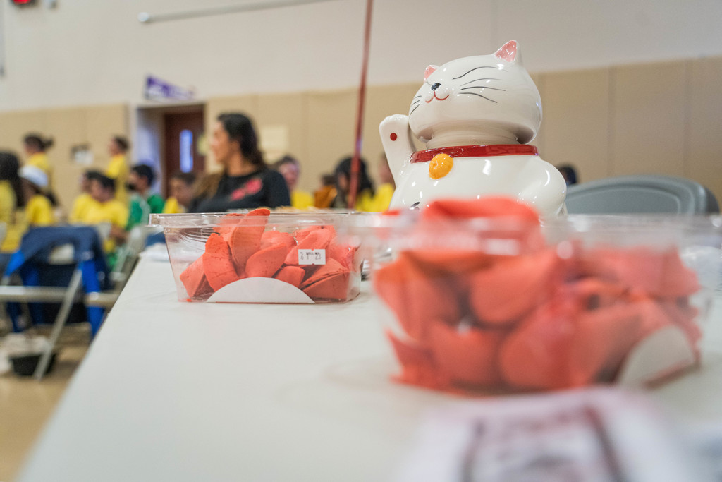 Super Happy Lucky Cat Decorations for Chinese New Year