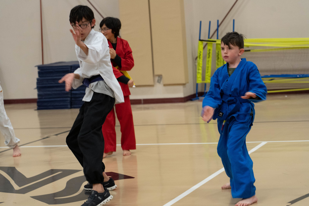 Students performing Tae Kwon Do