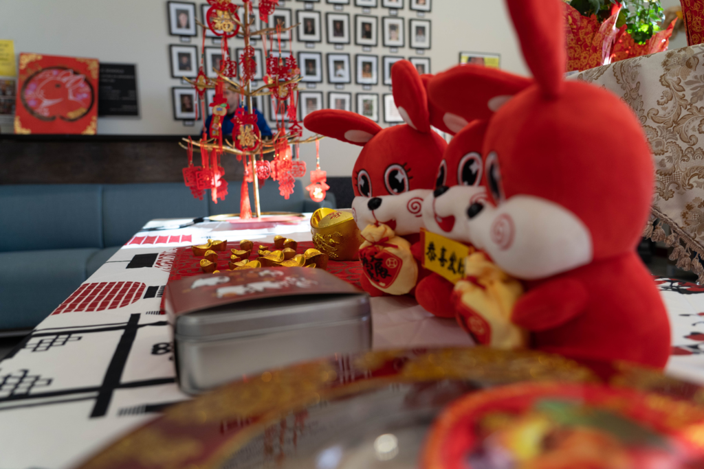 Chinese Year of the Rabbit decorations