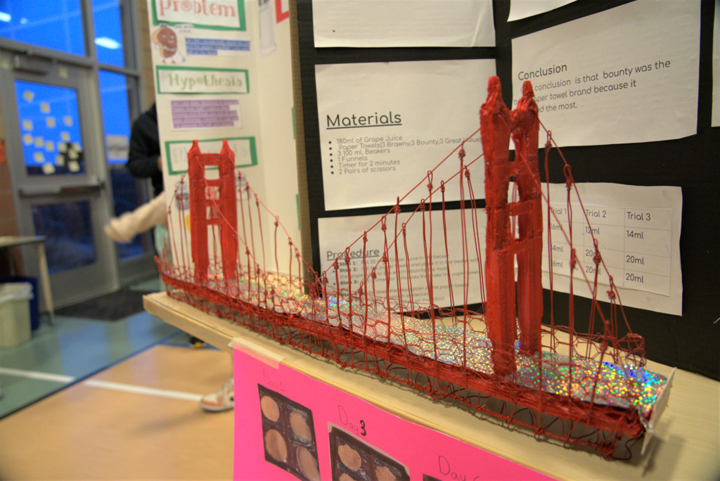 Bridge science fair display