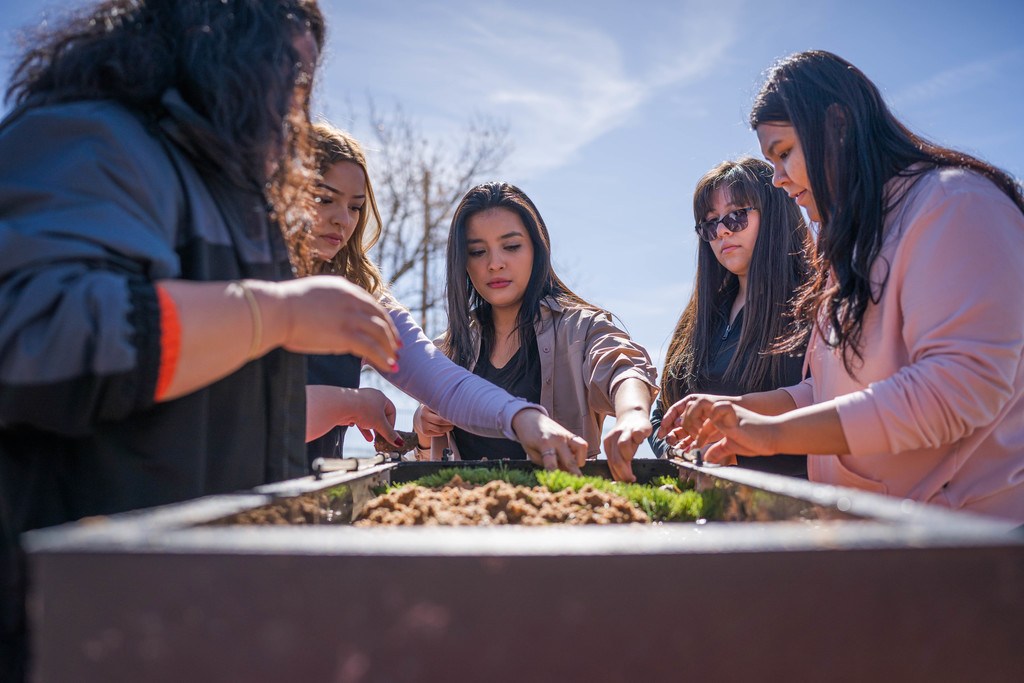 5 female students working with grass and dirt on a rectangle container