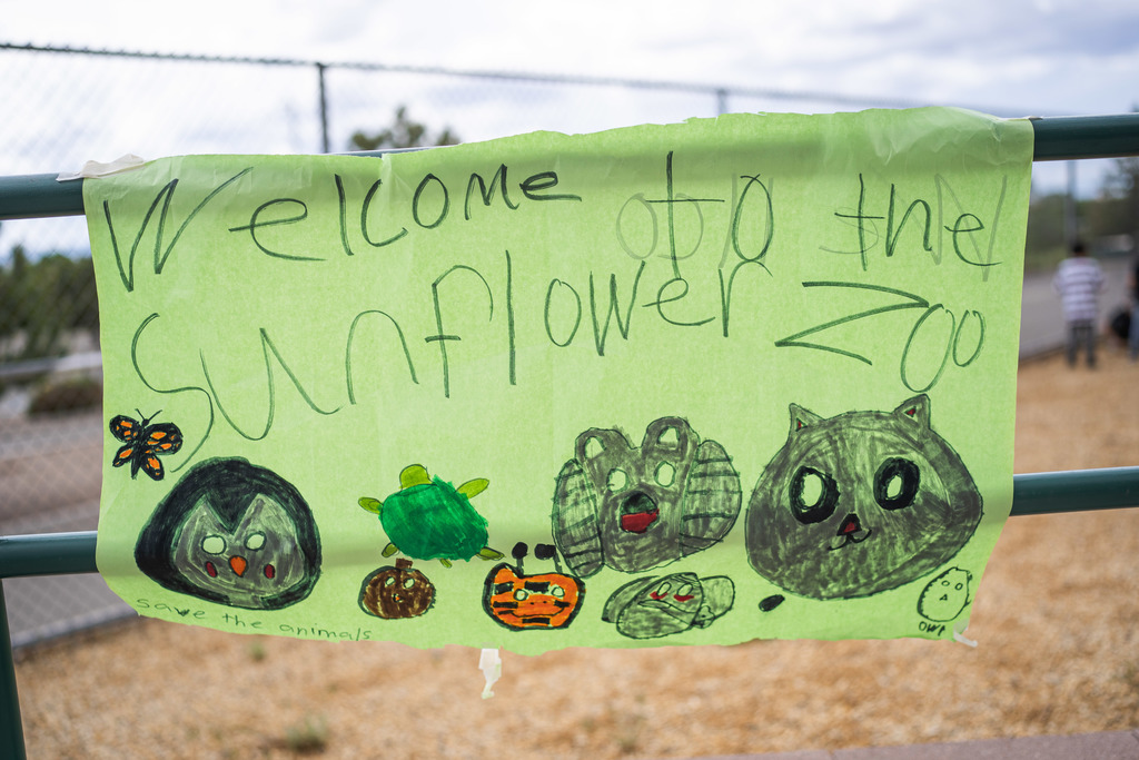 Welcome to the Sunflower Zoo on a green paper